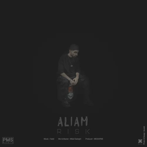 Risk - Aliam